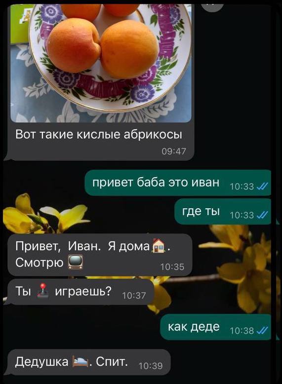 Ivan and his granny texting each other on What’s App in June 2023. Granny: “These ones are the sour apricots.”  Ivan:  “hi granny this is ivan. where are you”  Granny: “Hi, Ivan. I’m home (home emoji). Watching (TV emoji). (Are) you (joystick emoji) playing?”  Ivan: “how (is) granddaddy” Granny: “Granddaddy (bed emodji). Sleeping.”