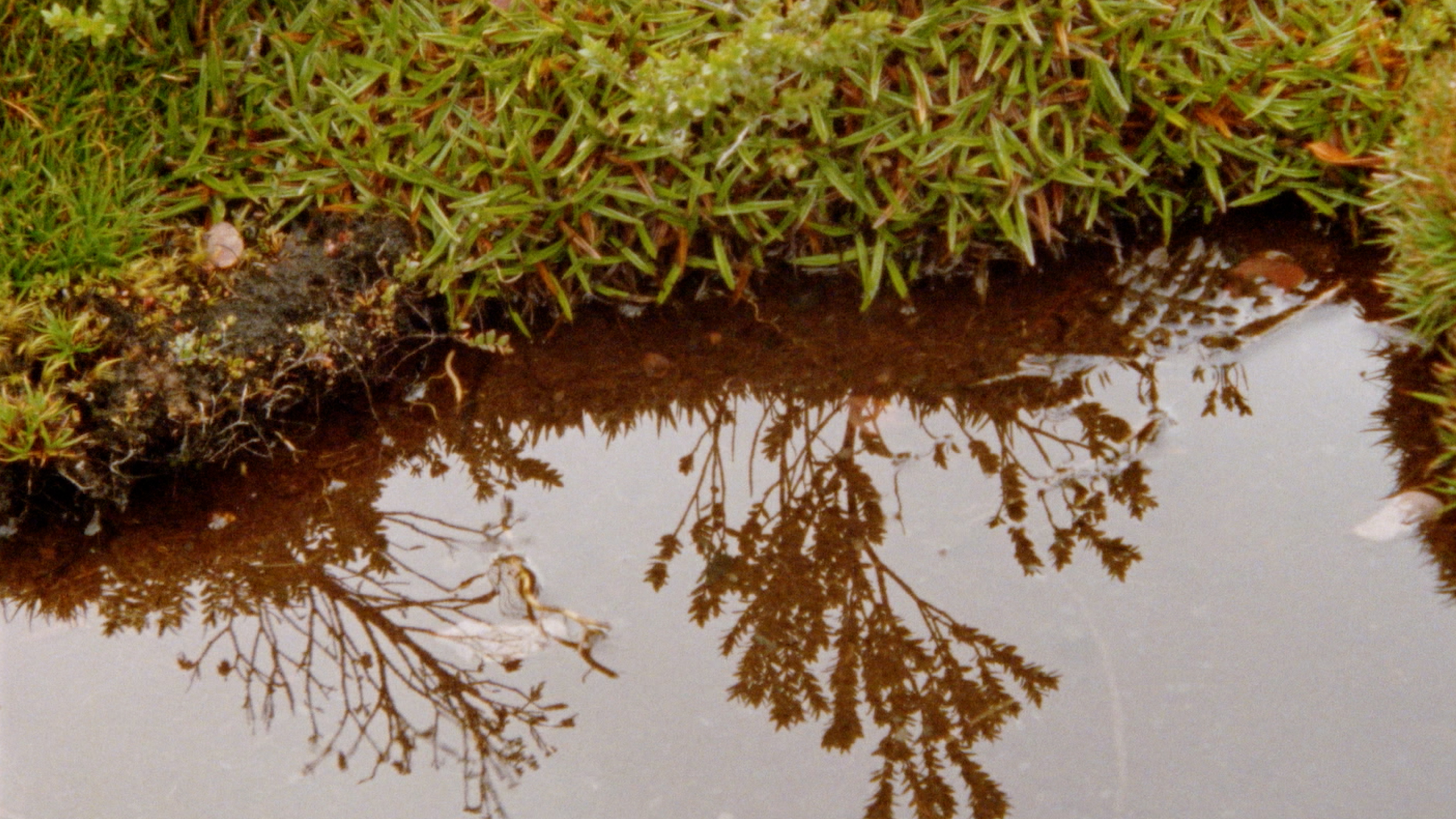 Detail image from video