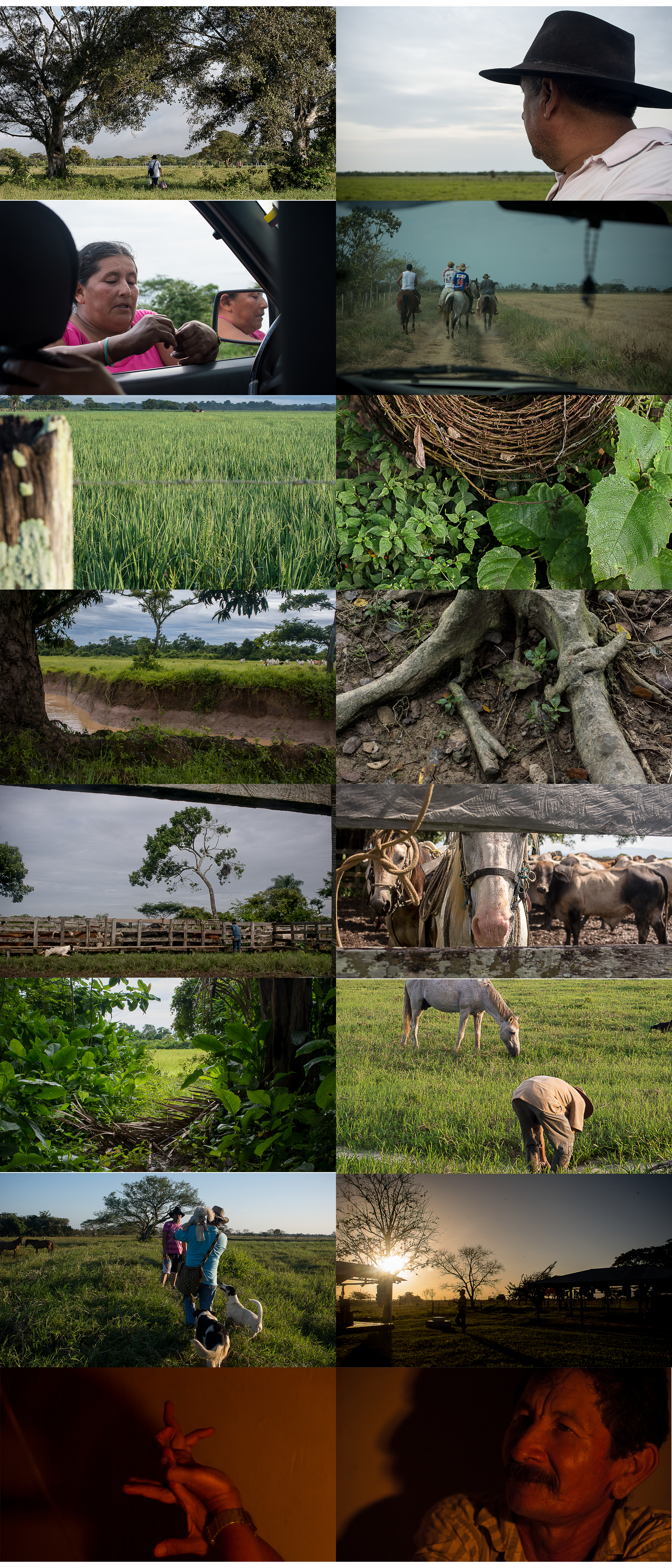 Grid of 16 photographs featuring rural lanscapes, people, horses