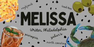 Cover of Melissa, 36, Writer, Pennsylvania